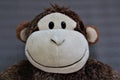 Photo of smiling monkey, mascot for kids