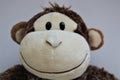 Photo of smiling monkey, mascot for kids