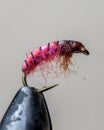 Photo Macro shot of fly fishing lure on a black background, hand made fly for fishing Royalty Free Stock Photo