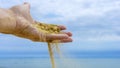 The macro snapshot of hand with sand strewed to fingers Royalty Free Stock Photo