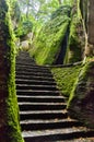 La Verna , stairs in nature