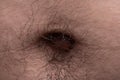 Photo of man`s navel with the black hairs, closeup photo