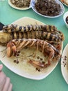 Photo of mantis shrimp sea locust prawn killer or thumb splitter on plate Philippine seafood Royalty Free Stock Photo