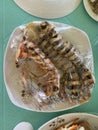 Photo of mantis shrimp sea locust prawn killer or thumb splitter on plate Philippine seafood Royalty Free Stock Photo