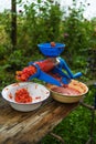 Photo of a manual tomato-grinder. Fresh tomatoes, for preparing handmade tomato sauce