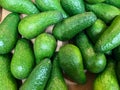 Photo many many avocados supermarket shelve