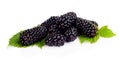 Photo many blackberries with leaves isolated white Royalty Free Stock Photo