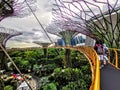 Photo of Marina Gardens by the bay sing