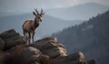 Photo of markhor Capra falconeri perched on a rocky outcrop overlooking a sprawling mountain range. images highlighs the markhors Royalty Free Stock Photo