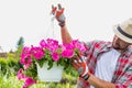 Portrait of mature gardener examining flowers on a pot in shop Royalty Free Stock Photo