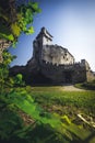 Photo of medieval castle in Austria burg lichtenstein Royalty Free Stock Photo