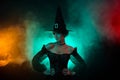 Photo of medieval dark creature witch look copyspace incantation on colorful mystical background