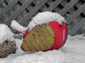 Robin garden ornament in snow Royalty Free Stock Photo