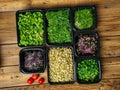 Photo of microgreen sprouts in containers, top view Royalty Free Stock Photo