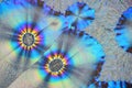 Colorful micro crystals in polarized light