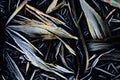 Colorful micro crystals in polarized light Royalty Free Stock Photo