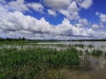 Photo in the middle of a beautiful Amazon river