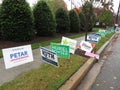 Long Row of Midterm Election Signs