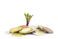 A photo of money, heap of euro coins and a small green sprout growing from the coins. Business finance concept. Coins on