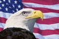 Photo montage: American flag and bald eagle Royalty Free Stock Photo