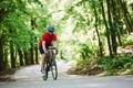 Photo in motion. Cyclist on a bike is on the asphalt road in the forest at sunny day Royalty Free Stock Photo