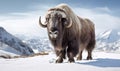 photo of Musk oxen standing on a snowy mountain. Generative AI
