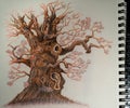 Photo of my own work - pencil draving fine art - tree Royalty Free Stock Photo