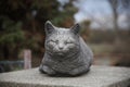 a napping purring cat statue