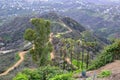 Los Angeles Nature from Mount Hollywood