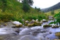 Photo of nature - spring water mountain river and the cute petrous creek on North Caucasus