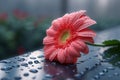 Photo Natures beauty A solitary flower symbolizes freshness and romantic allure