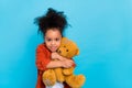 Photo of nice wavy small girl hug toy wear brown shirt isolated on blue color background Royalty Free Stock Photo
