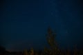 Photo of nightly blue sky with stars and trees