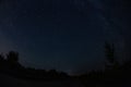 Photo of nightly sky with stars and trees