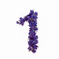Photo No. 1 of purple flowers on a white background. Typographic design element. Part of the flower alphabet. Numeral 1
