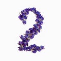 Photo No. 2 of purple flowers on a white background. Typographic design element. Part of the flower alphabet. Numeral 2