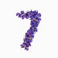 Photo No. 7 of purple flowers on a white background. Typographic design element. Part of the flower alphabet. Numeral 7