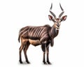 photo of nyala isolated on white background. Generative AI