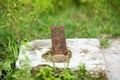 Photo of an old beautiful rusty iron armature isolated
