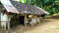 photo of old chicken coop in the village Royalty Free Stock Photo