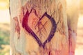 Photo of old tree trunk with heart carved on it. Valentine& x27;s day concept. Romantic background.