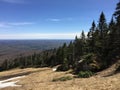 Forests on the Slopes of Mont-Tremblant