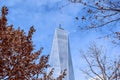 One World Trade Center in Winter Royalty Free Stock Photo