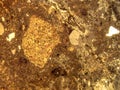 photo of the optical mineralogy and thin section microscopy of petrography Royalty Free Stock Photo