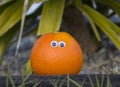 Photo of orange with funny eyes