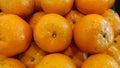 Photo of oranges neatly arranged on a sales shelf Royalty Free Stock Photo