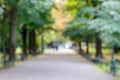 Photo out of focus sunny park in Europe.Road through the green area with many trees Royalty Free Stock Photo