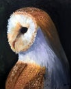 Photo of a painting of a owl against a black background