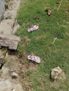 This is a photo of a pair of abandoned sandals