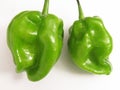 Habanero Chili Pepper Pair